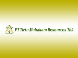 Saham TIRT, Apakah Akan Menjadi Saham Multibagger Berikutnya ?